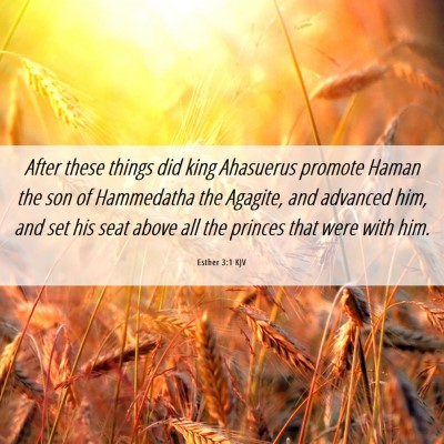 Picture 06 - Esther 3:1 KJV - After these things did king Ahasuerus promote - Bible Verse Picture