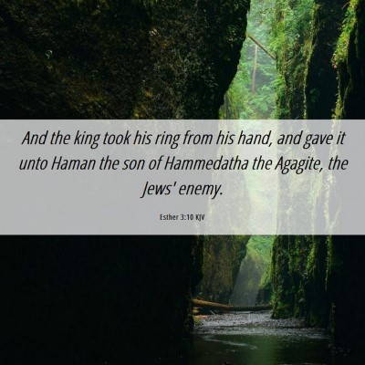Picture 06 - Esther 3:10 KJV - And the king took his ring from his hand, and - Bible Verse Picture
