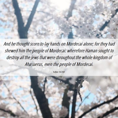 Picture 06 - Esther 3:6 KJV - And he thought scorn to lay hands on Mordecai - Bible Verse Picture