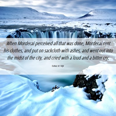 Picture 06 - Esther 4:1 KJV - When Mordecai perceived all that was done, - Bible Verse Picture