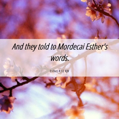 Picture 06 - Esther 4:12 KJV - And they told to Mordecai Esther's - Bible Verse Picture