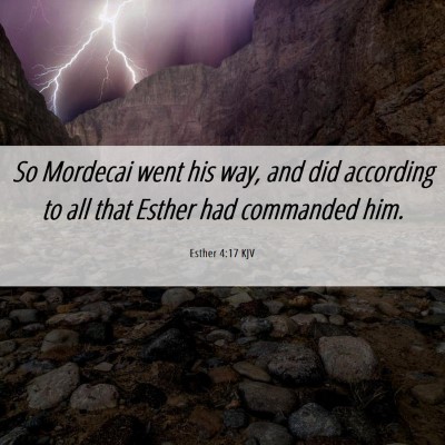 Picture 06 - Esther 4:17 KJV - So Mordecai went his way, and did according to - Bible Verse Picture