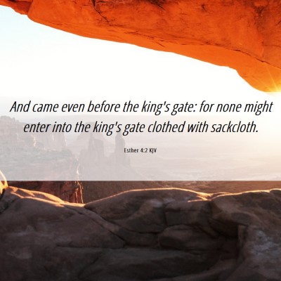 Picture 06 - Esther 4:2 KJV - And came even before the king's gate: for none - Bible Verse Picture