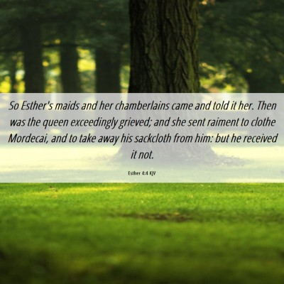 Picture 06 - Esther 4:4 KJV - So Esther's maids and her chamberlains came and - Bible Verse Picture