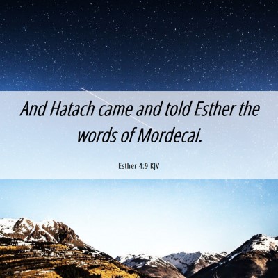 Picture 06 - Esther 4:9 KJV - And Hatach came and told Esther the words of - Bible Verse Picture