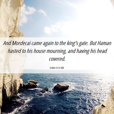 Picture 06 - Esther 6:12 KJV - And Mordecai came again to the king's gate. But - Bible Verse Picture