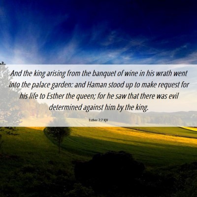 Picture 06 - Esther 7:7 KJV - And the king arising from the banquet of wine in - Bible Verse Picture