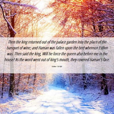 Picture 06 - Esther 7:8 KJV - Then the king returned out of the palace garden - Bible Verse Picture