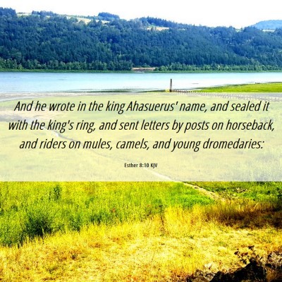 Picture 06 - Esther 8:10 KJV - And he wrote in the king Ahasuerus' name, and - Bible Verse Picture