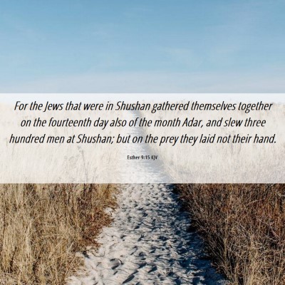 Picture 06 - Esther 9:15 KJV - For the Jews that were in Shushan gathered - Bible Verse Picture