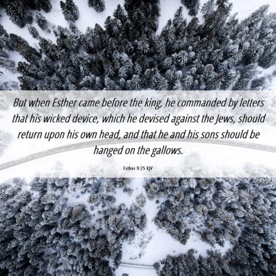 Picture 06 - Esther 9:25 KJV - But when Esther came before the king, he - Bible Verse Picture