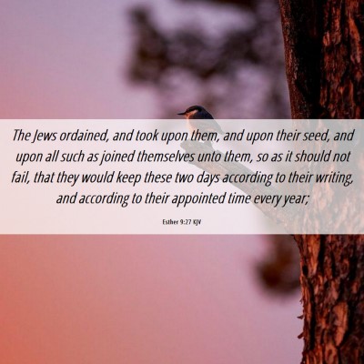 Picture 06 - Esther 9:27 KJV - The Jews ordained, and took upon them, and upon - Bible Verse Picture