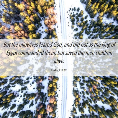 Picture 06 - Exodus 1:17 KJV - But the midwives feared God, and did not as the - Bible Verse Picture