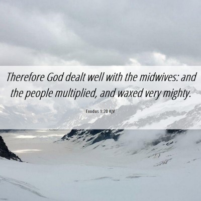 Picture 06 - Exodus 1:20 KJV - Therefore God dealt well with the midwives: and - Bible Verse Picture