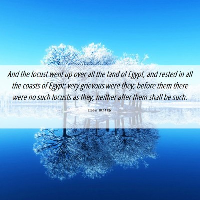 Picture 06 - Exodus 10:14 KJV - And the locust went up over all the land of - Bible Verse Picture