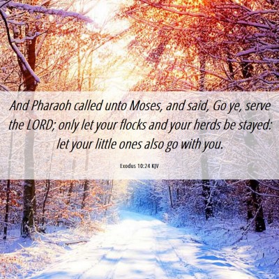 Picture 06 - Exodus 10:24 KJV - And Pharaoh called unto Moses, and said, Go ye, - Bible Verse Picture