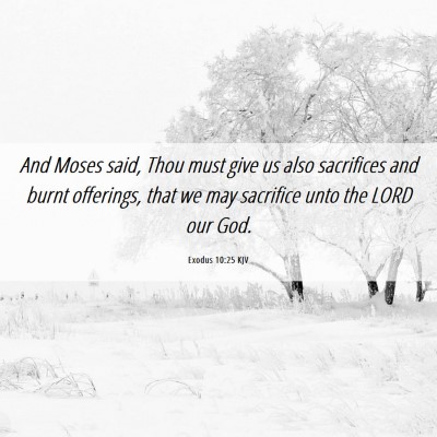Picture 06 - Exodus 10:25 KJV - And Moses said, Thou must give us also sacrifices - Bible Verse Picture