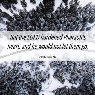 Picture 06 - Exodus 10:27 KJV - But the LORD hardened Pharaoh's heart, and he - Bible Verse Picture