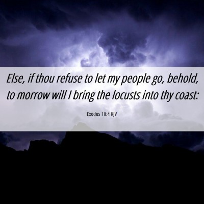 Picture 06 - Exodus 10:4 KJV - Else, if thou refuse to let my people go, behold, - Bible Verse Picture