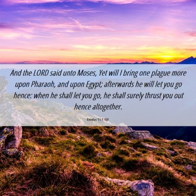Picture 06 - Exodus 11:1 KJV - And the LORD said unto Moses, Yet will I bring - Bible Verse Picture