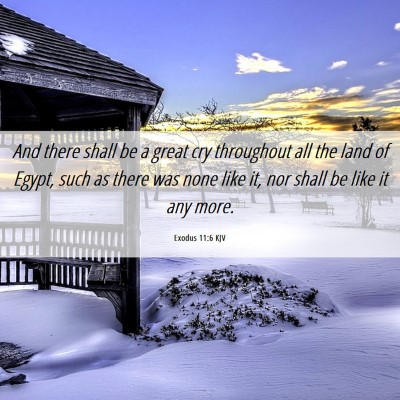 Picture 06 - Exodus 11:6 KJV - And there shall be a great cry throughout all the - Bible Verse Picture
