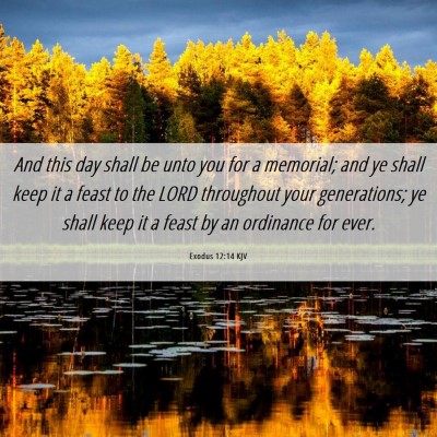Picture 06 - Exodus 12:14 KJV - And this day shall be unto you for a memorial; - Bible Verse Picture