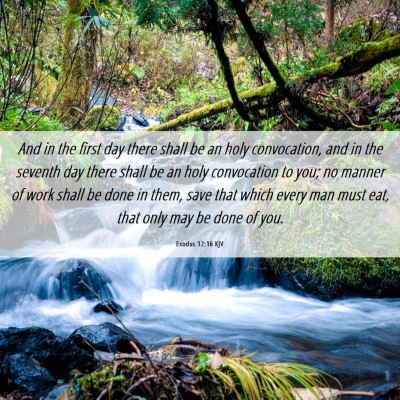 Picture 06 - Exodus 12:16 KJV - And in the first day there shall be an holy - Bible Verse Picture
