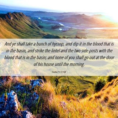 Picture 06 - Exodus 12:22 KJV - And ye shall take a bunch of hyssop, and dip it - Bible Verse Picture