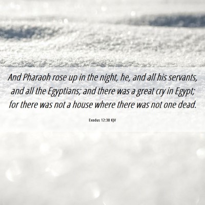 Picture 06 - Exodus 12:30 KJV - And Pharaoh rose up in the night, he, and all his - Bible Verse Picture