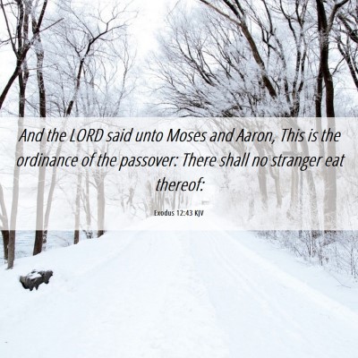 Picture 06 - Exodus 12:43 KJV - And the LORD said unto Moses and Aaron, This is - Bible Verse Picture