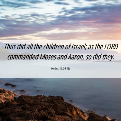 Picture 06 - Exodus 12:50 KJV - Thus did all the children of Israel; as the LORD - Bible Verse Picture