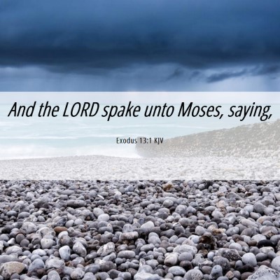 Picture 06 - Exodus 13:1 KJV - And the LORD spake unto Moses, - Bible Verse Picture