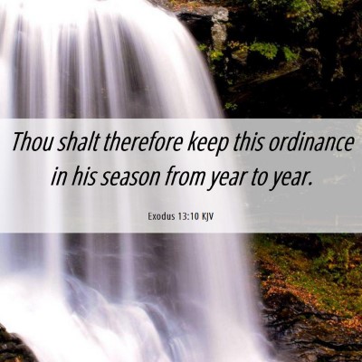 Picture 06 - Exodus 13:10 KJV - Thou shalt therefore keep this ordinance in his - Bible Verse Picture