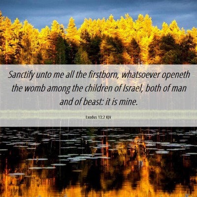 Picture 06 - Exodus 13:2 KJV - Sanctify unto me all the firstborn, whatsoever - Bible Verse Picture