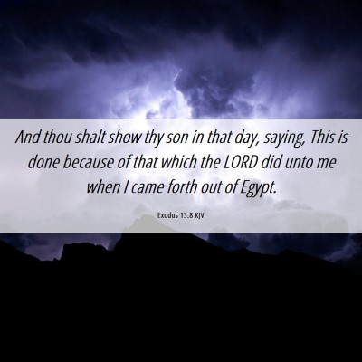 Picture 06 - Exodus 13:8 KJV - And thou shalt show thy son in that day, saying, - Bible Verse Picture