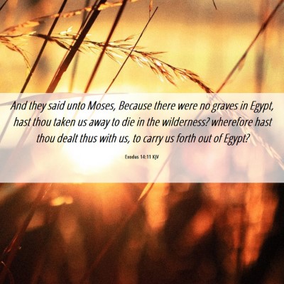 Picture 06 - Exodus 14:11 KJV - And they said unto Moses, Because there were no - Bible Verse Picture