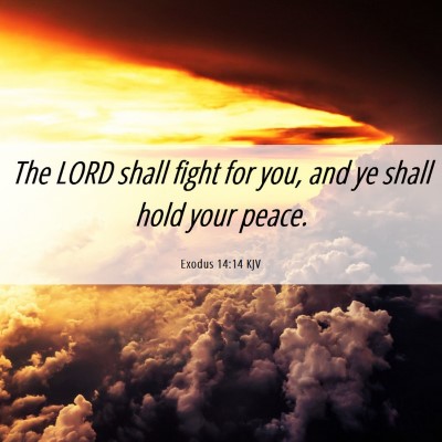 Picture 06 - Exodus 14:14 KJV - The LORD shall fight for you, and ye shall hold - Bible Verse Picture