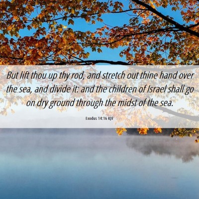 Picture 06 - Exodus 14:16 KJV - But lift thou up thy rod, and stretch out thine - Bible Verse Picture