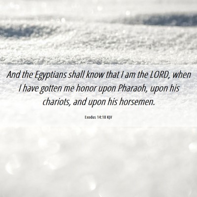 Picture 06 - Exodus 14:18 KJV - And the Egyptians shall know that I am the LORD, - Bible Verse Picture