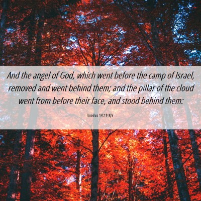 Picture 06 - Exodus 14:19 KJV - And the angel of God, which went before the camp - Bible Verse Picture