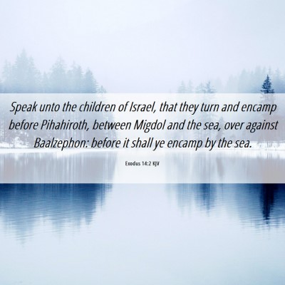 Picture 06 - Exodus 14:2 KJV - Speak unto the children of Israel, that they turn - Bible Verse Picture