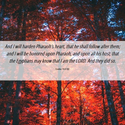 Picture 06 - Exodus 14:4 KJV - And I will harden Pharaoh's heart, that he shall - Bible Verse Picture