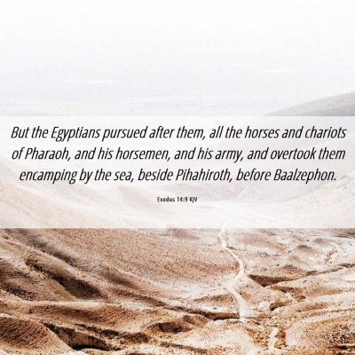 Picture 06 - Exodus 14:9 KJV - But the Egyptians pursued after them, all the - Bible Verse Picture