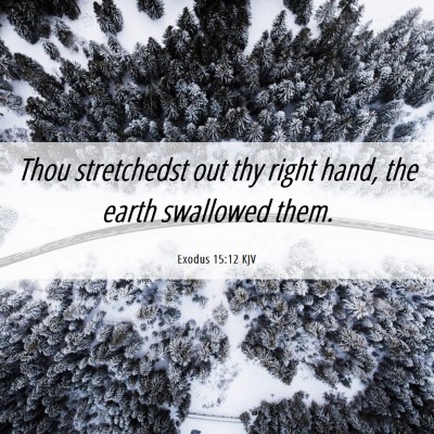 Picture 06 - Exodus 15:12 KJV - Thou stretchedst out thy right hand, the earth - Bible Verse Picture