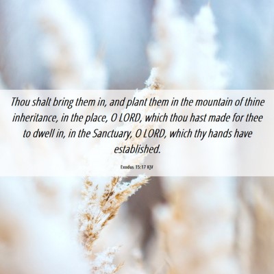 Picture 06 - Exodus 15:17 KJV - Thou shalt bring them in, and plant them in the - Bible Verse Picture