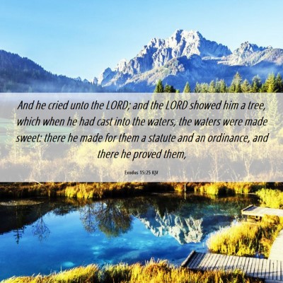 Picture 06 - Exodus 15:25 KJV - And he cried unto the LORD; and the LORD showed - Bible Verse Picture