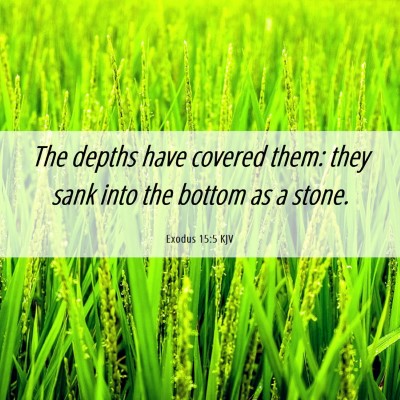 Picture 06 - Exodus 15:5 KJV - The depths have covered them: they sank into the - Bible Verse Picture