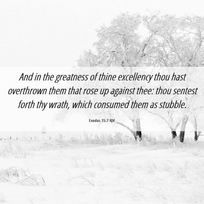 Picture 06 - Exodus 15:7 KJV - And in the greatness of thine excellency thou - Bible Verse Picture