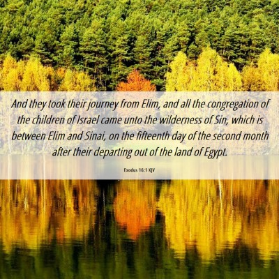 Picture 06 - Exodus 16:1 KJV - And they took their journey from Elim, and all - Bible Verse Picture