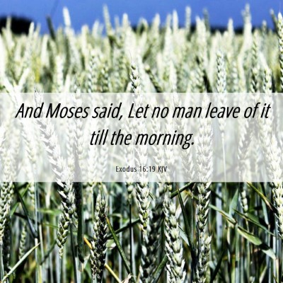 Picture 06 - Exodus 16:19 KJV - And Moses said, Let no man leave of it till the - Bible Verse Picture